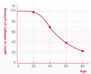 chart showing collagen loss as we age