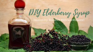 DIY Elderberry Syrup