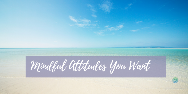 mindful attitude