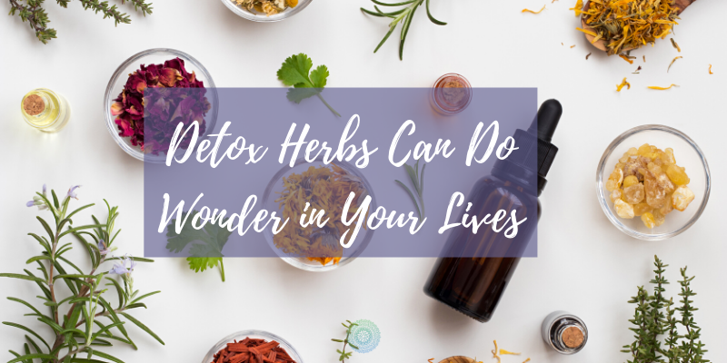 Detox Herbs